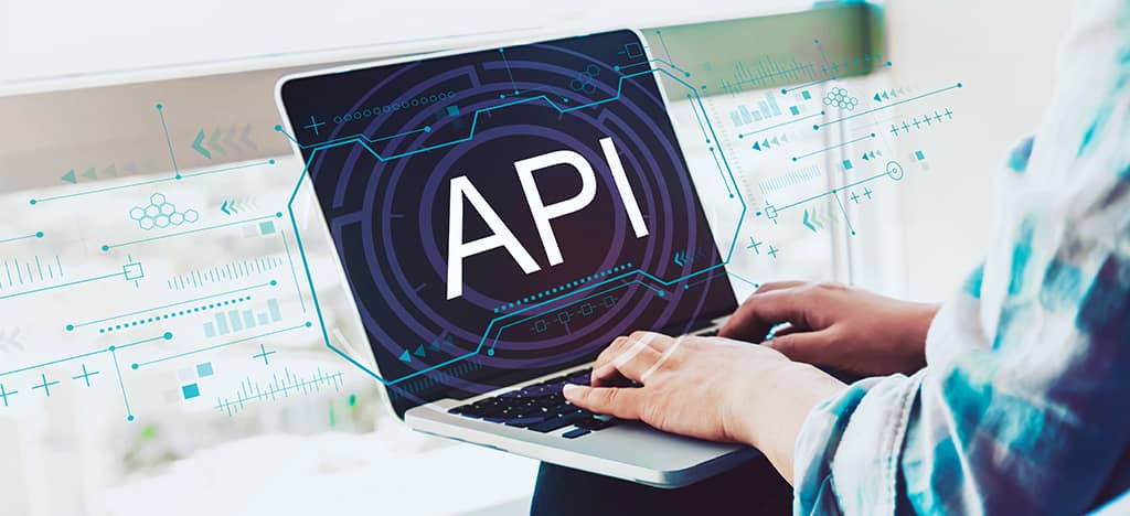 API: o que é e qual a influência nas suas vendas?